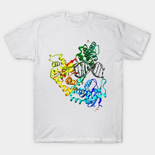 DNA Polymerase Cool Biology Gift (White Background) T-Shirt by Harry Lee